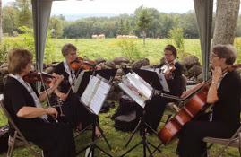 Mountain Aire Strings at White Gates Farm, Tamworth, NH